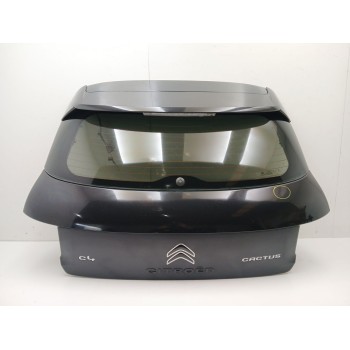 PORTON TRASERO 9800805380 