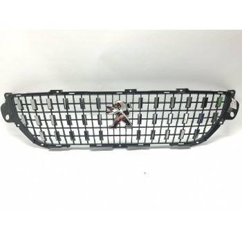 REJILLA PARAGOLPES CENTRAL 9815372977 1617022680 