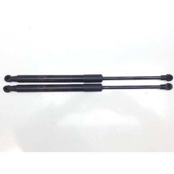 AMORTIGUADORES MALETERO / PORTON 6896002170 