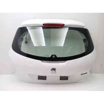 PORTON TRASERO 9672664480 