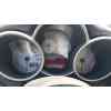 alfa romeo 147 (937_) del año 2002