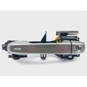 MANETA EXTERIOR DELANTERA IZQUIERDA 6920202160 