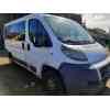 fiat ducato combi 33 (09.2006 =>) del año 2008