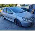 PEUGEOT 307 (S1)