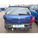 PEUGEOT 307 (S1)