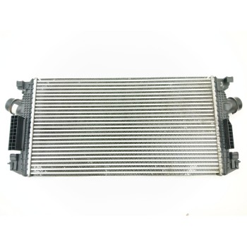 RADIADOR AGUA 13267647 