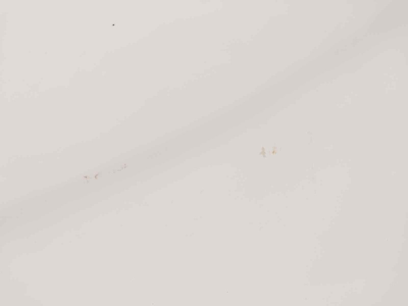 Recambio de puerta delantera izquierda para fiat ducato caja cerrada (250) referencia OEM IAM   