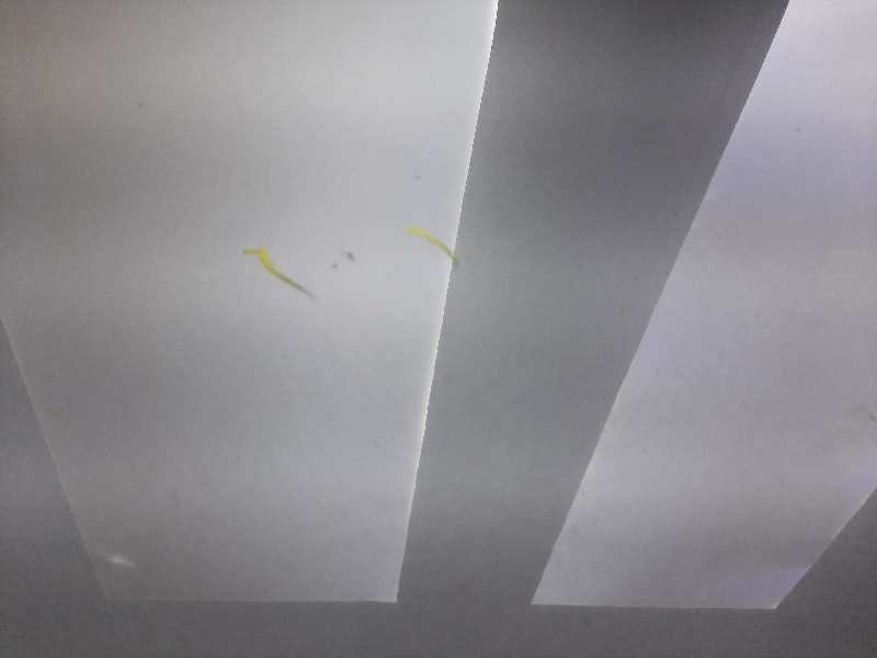 Recambio de capot para audi a6 avant (4f5) 3.0 tdi quattro referencia OEM IAM 4F0823029F  