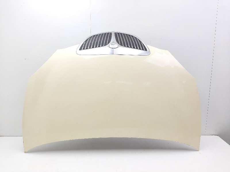 Recambio de capot para lancia ypsilon (101) referencia OEM IAM   