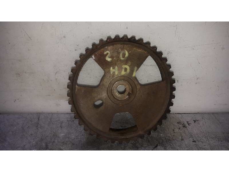 Recambio de polea arbol levas para citroen xsara picasso 2.0 hdi referencia OEM IAM   