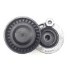 Recambio de tensor correa auxiliar para renault scenic iv intens referencia OEM IAM 117501113R 6563016 