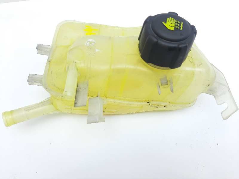 Recambio de deposito expansion para renault scenic iii dynamique referencia OEM IAM 217100005R  