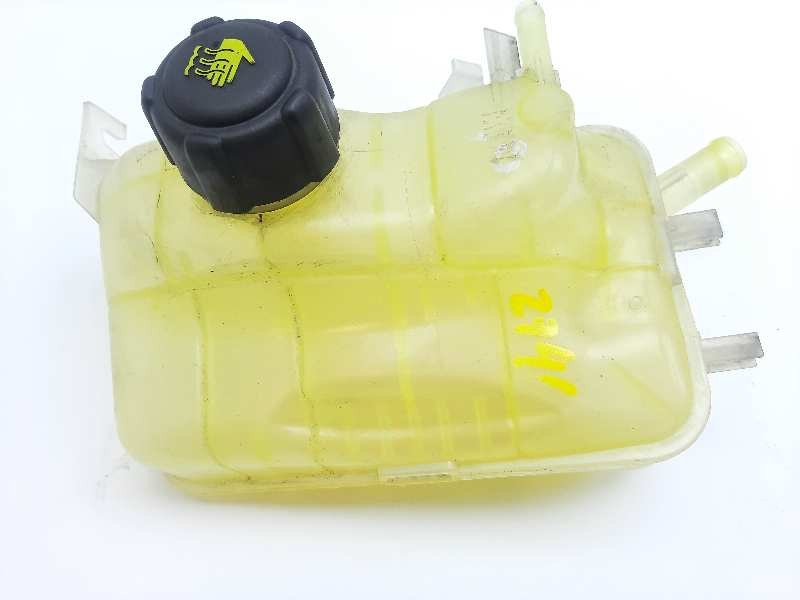 Recambio de deposito expansion para renault scenic iii dynamique referencia OEM IAM 217100005R  
