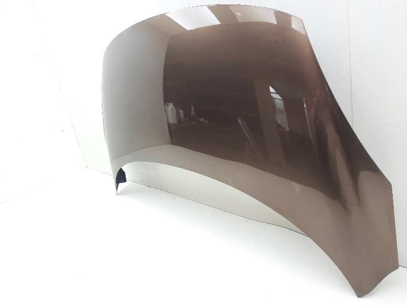 Recambio de capot para renault scenic iii dynamique referencia OEM IAM 651000036R  