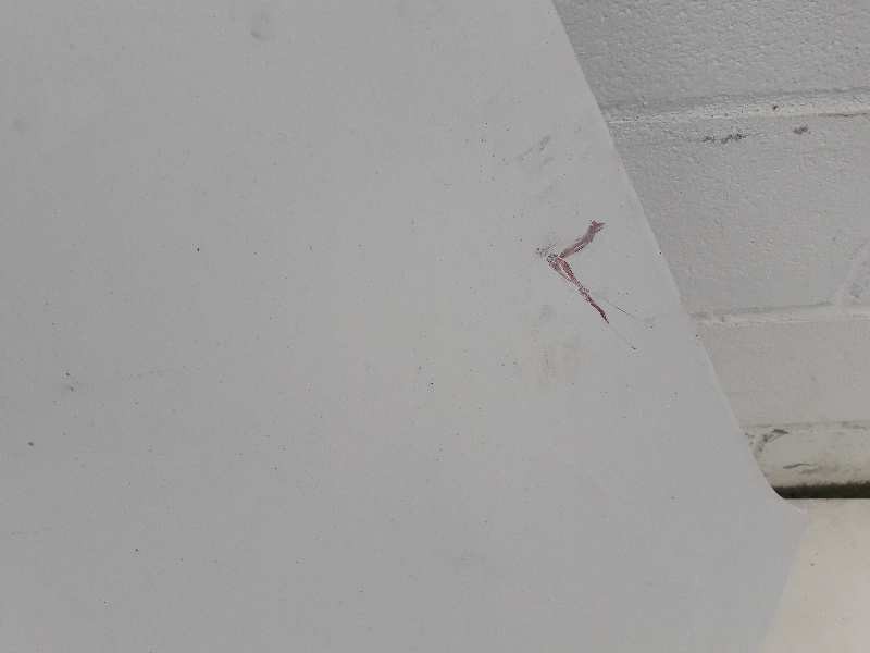 Recambio de capot para citroen berlingo cuadro 1.6 16v hdi referencia OEM IAM   