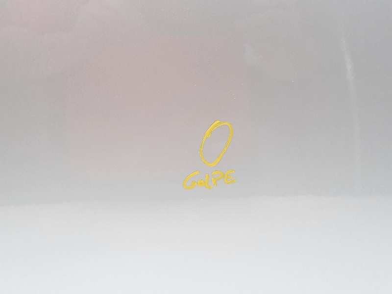 Recambio de puerta trasera izquierda para bmw serie 5 berlina (e60) 525d referencia OEM IAM   