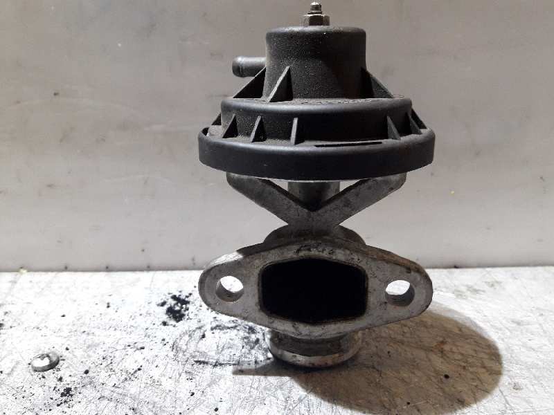 Recambio de valvula egr para seat ibiza (6l1) 1.9 sdi referencia OEM IAM 038131501AG 72247704 
