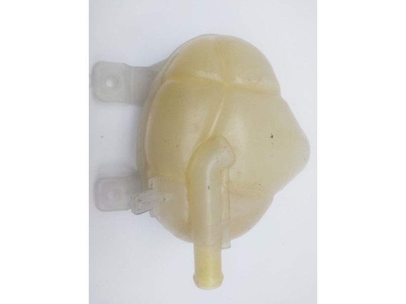 Recambio de deposito expansion para fiat punto (evo) (199) 1.3 16v jtd referencia OEM IAM 55700508  