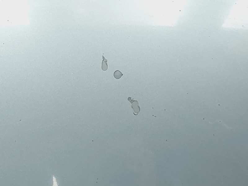 Recambio de capot para renault scenic ii authentique referencia OEM IAM   