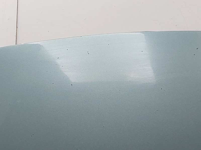 Recambio de capot para renault scenic ii authentique referencia OEM IAM   