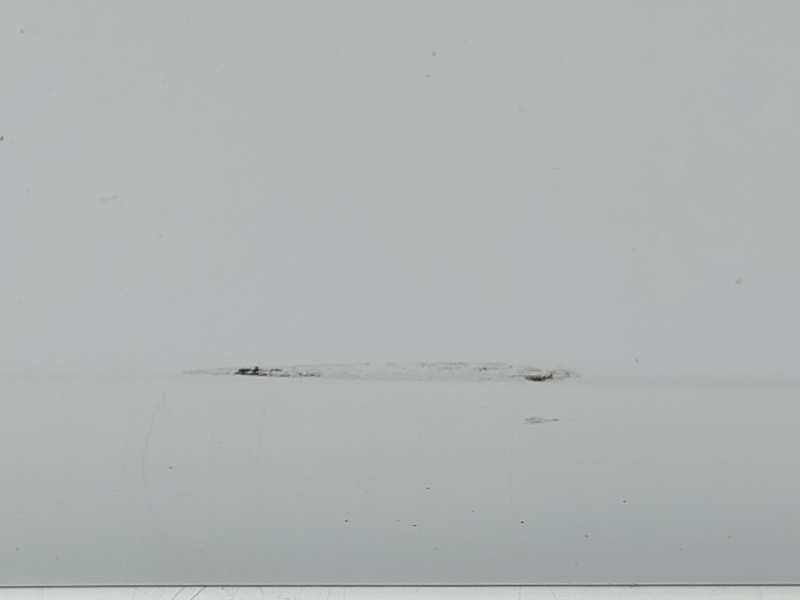 Recambio de puerta trasera derecha para renault megane iv berlina 5p limited referencia OEM IAM 821003398R  