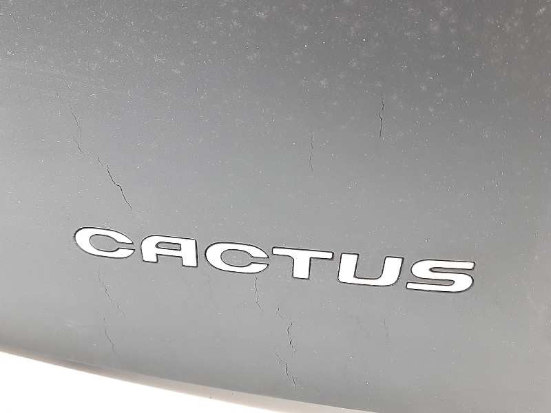 Recambio de porton trasero para citroën c4 cactus rip curl referencia OEM IAM 9800805380  