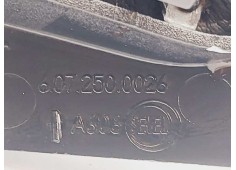 Recambio de guarnecidos palanca cambio para fiat ducato caja cerrada (250) referencia OEM IAM 6072500026   2