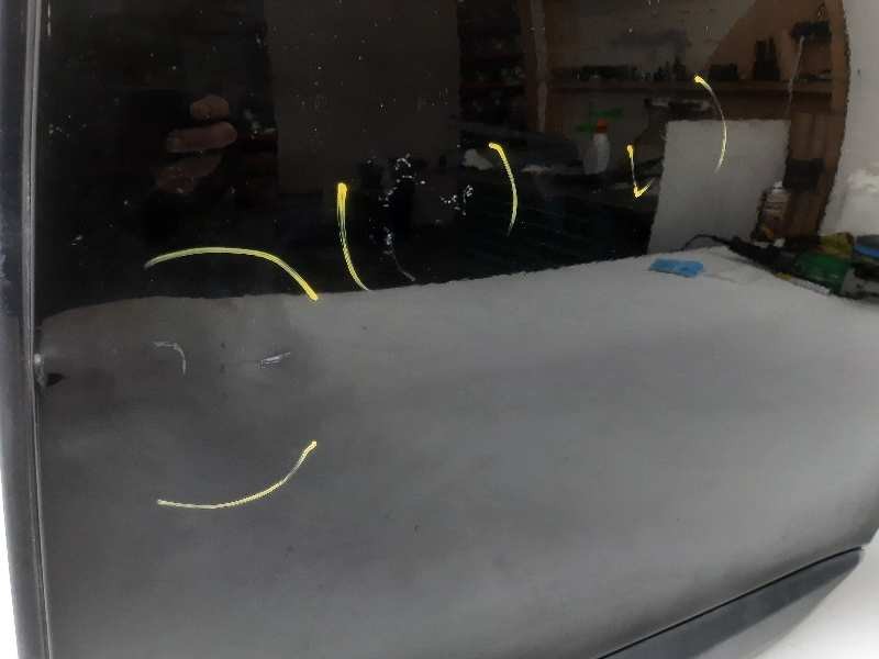 Recambio de puerta trasera izquierda para renault megane iii berlina 5 p expression referencia OEM IAM 821003885R  