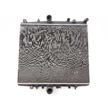 RADIADOR AGUA 9641728380 