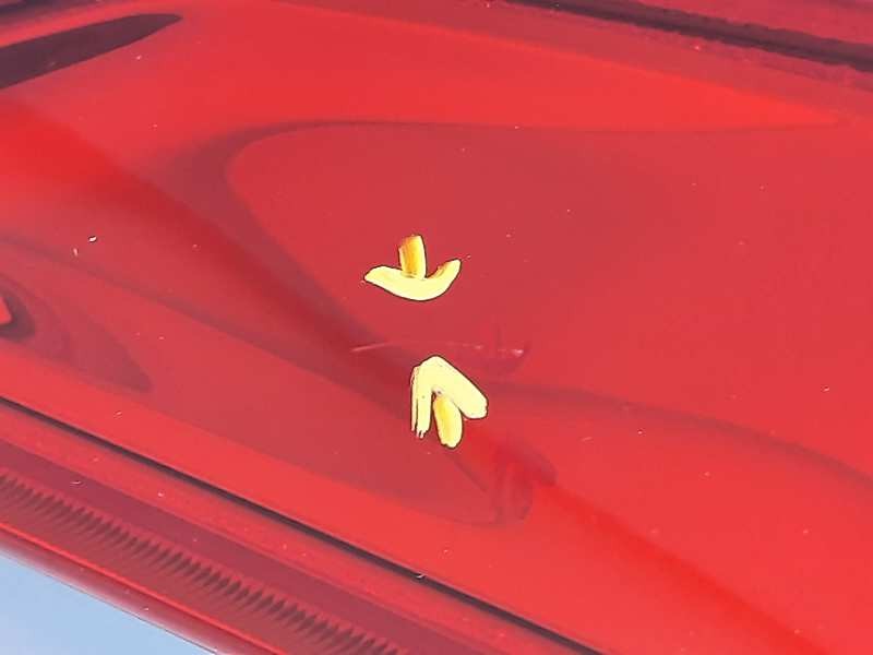 Recambio de piloto trasero izquierdo para peugeot 2008 (--.2013) style referencia OEM IAM 9678074280  