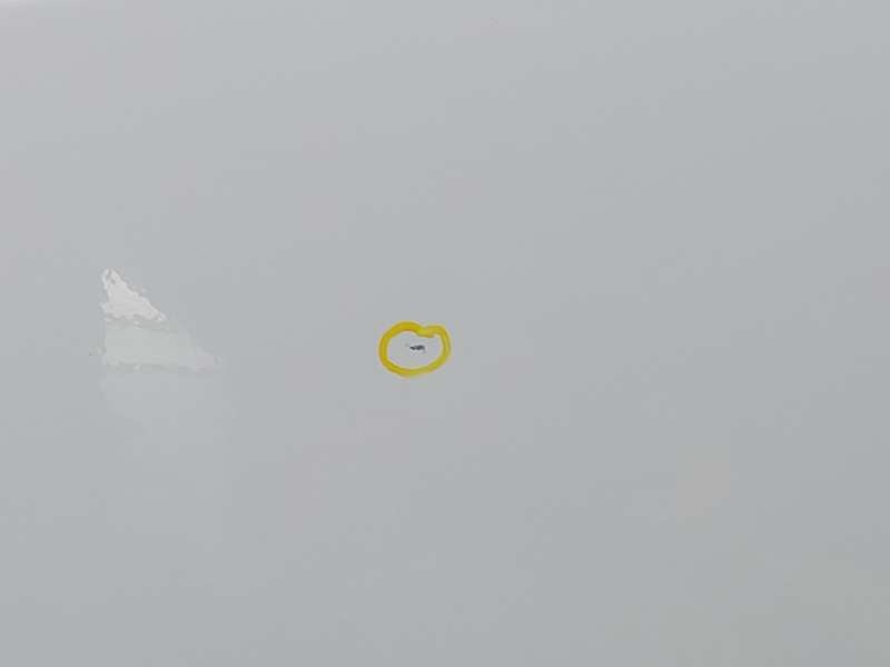 Recambio de puerta delantera izquierda para renault trafic furgón l1h1 2,7t referencia OEM IAM 801011024R  