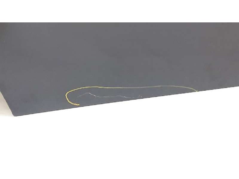 Recambio de puerta trasera derecha para bmw serie 3 berlina (e90) 325i referencia OEM IAM   