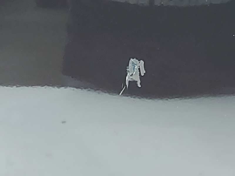 Recambio de puerta delantera izquierda para opel insignia berlina selective referencia OEM IAM 124327  