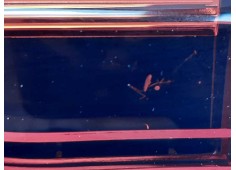 Recambio de piloto trasero derecho interior para audi a1 sportback (gba) 30 tfsi sline referencia OEM IAM 82A945094B RE28990001  2