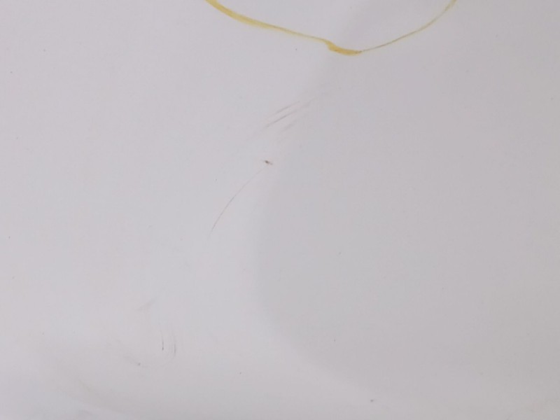 Recambio de porton trasero para nissan juke (f15) 1.2 dig-t referencia OEM IAM K0100BV8AB  