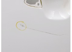 Recambio de puerta delantera izquierda para kia carens iv 1.7 crdi referencia OEM IAM    2