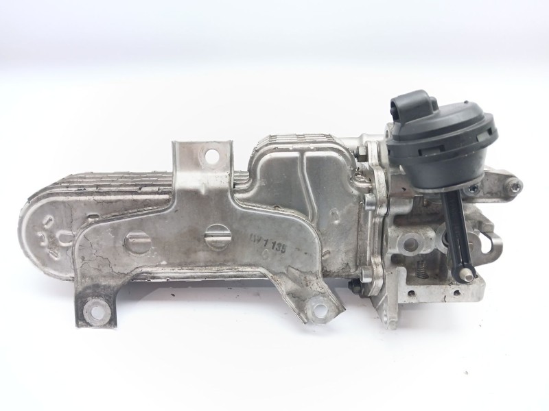 Recambio de valvula egr para volkswagen golf v berlina (1k1) sportline referencia OEM IAM 03G131063E  038131513AD