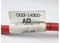 Recambio de modulo electronico para jaguar xf i (x250) 3.0 d referencia OEM IAM CX2314300AB   2