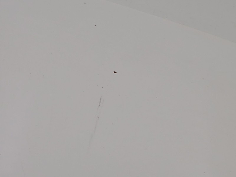 Recambio de capot para kia carens iv 1.7 crdi referencia OEM IAM 66400A4000  