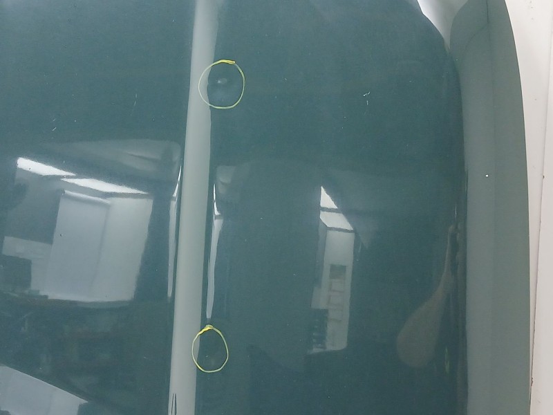 Recambio de capot para land rover freelander 2 (l359) 2.2 td4 4x4 referencia OEM IAM LR006694  