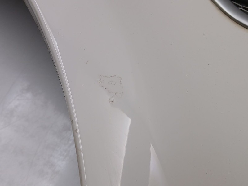 Recambio de aleta delantera izquierda para land rover freelander 2 (l359) 2.2 td4 4x4 referencia OEM IAM 6H5216016  