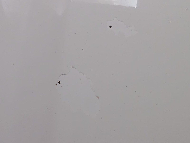 Recambio de capot para land rover freelander 2 (l359) 2.2 td4 4x4 referencia OEM IAM LR006694  