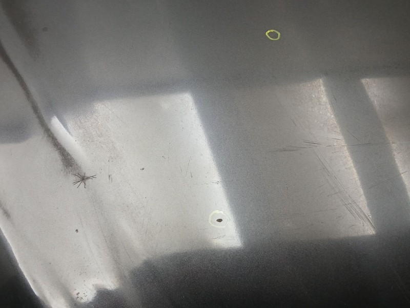 Recambio de capot para seat altea (5p1) 1.6 referencia OEM IAM 5P0823105D  