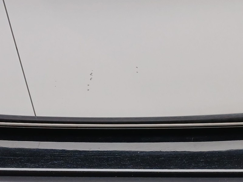 Recambio de retrovisor izquierdo para audi a5 (8t3) 3.0 tdi quattro referencia OEM IAM 8T1857409E  