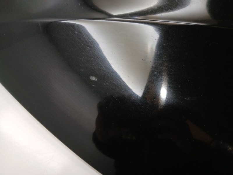 Recambio de capot para audi a5 (8t3) 3.0 tdi quattro referencia OEM IAM 8T0823029D  