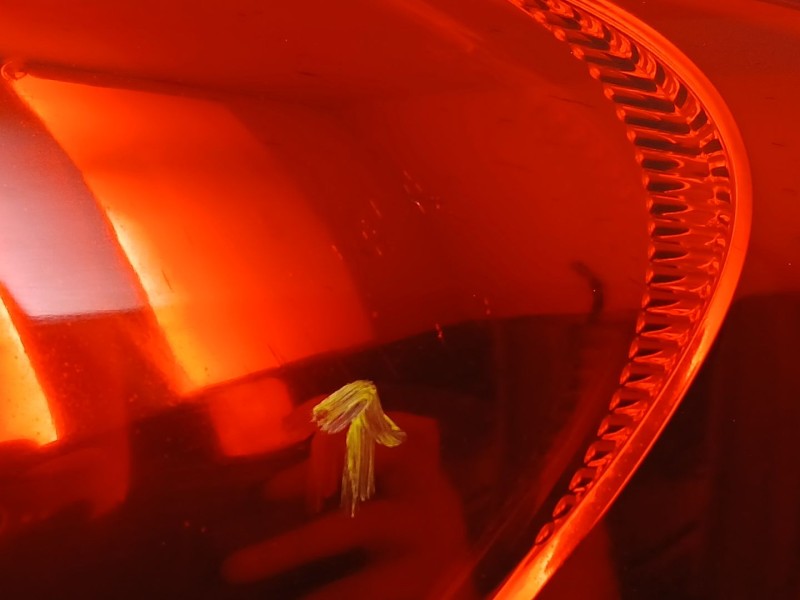 Recambio de piloto trasero derecho para peugeot 207 sw (wk_) 1.6 hdi referencia OEM IAM 6351CT  