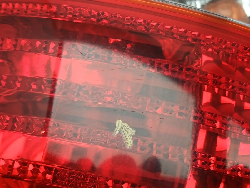 Recambio de piloto trasero derecho para kia carnival ii (gq) 2.9 crdi referencia OEM IAM 3K54A51150  