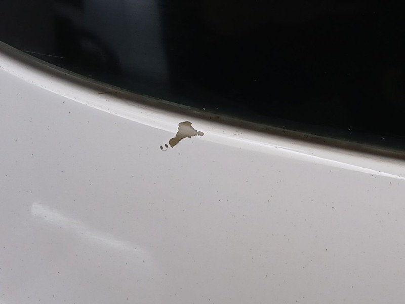 Recambio de porton trasero para opel corsa e selective referencia OEM IAM 126189  