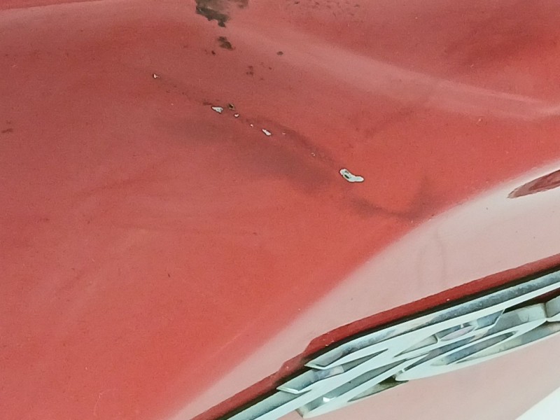 Recambio de porton trasero para ford fiesta (cb1) titanium referencia OEM IAM 8A61A40414AE  