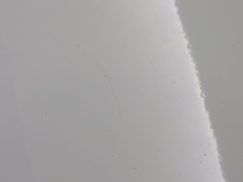 Recambio de puerta delantera derecha para dacia lodgy (js_) 1.5 dci referencia OEM IAM 801107836R 801008218R 